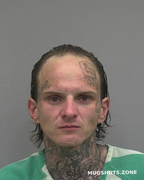 Gibson Matthew Cole Alachua County Mugshots Zone