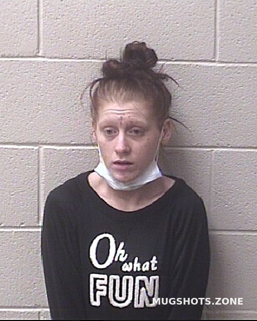 Chapman Megan Ryan Alexander County Mugshots Zone