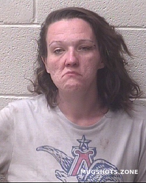 ADKINS AMY NICOLE 06 27 2022 Alexander County Mugshots Zone