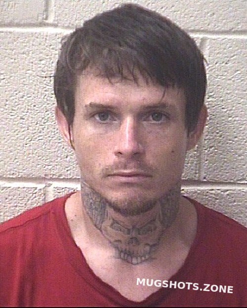 DOVER JASON TYLER 06 21 2023 Alexander County Mugshots Zone