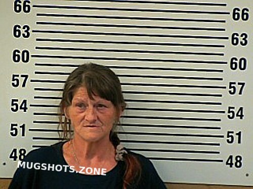 Jenkins Cathy Jeanenne Allen County Mugshots Zone