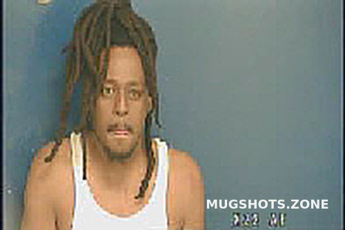 Shawn Lewis Murray Anson County Mugshots Zone