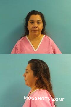 Zarate Elsa Chapa Aransas County Mugshots Zone