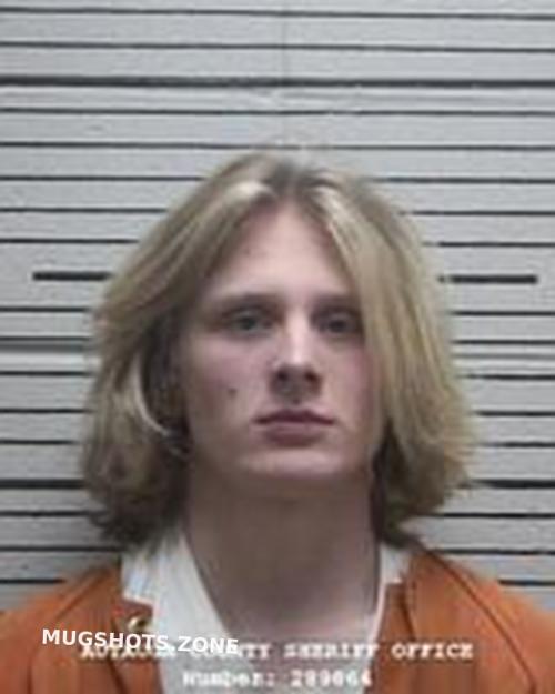 Caleb Dean Willis Autauga County Mugshots Zone