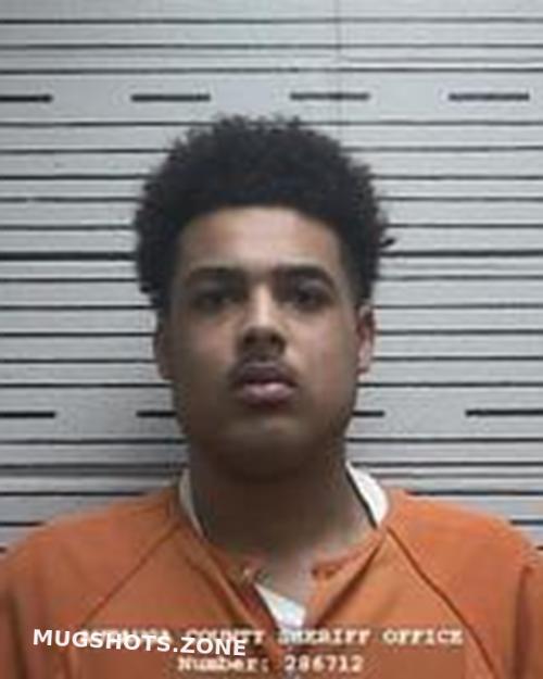 CALEB OWEN YELVERTON 02 28 2024 Autauga County Mugshots Zone