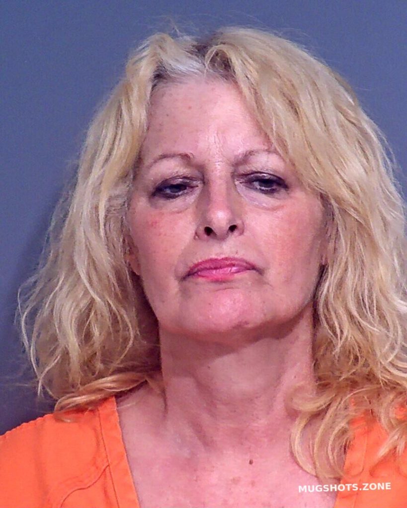 Snyder Deborah Louise Baldwin County Mugshots Zone