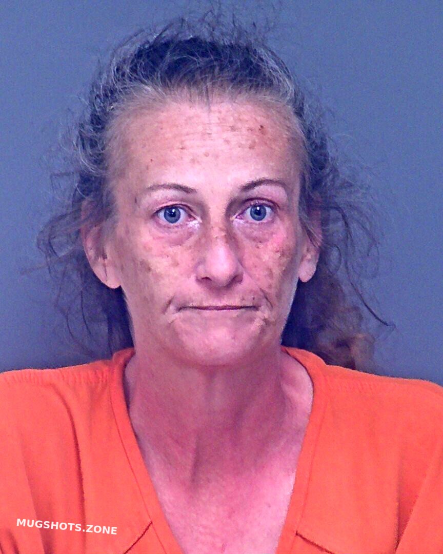 Abney Teresa Lee Baldwin County Mugshots Zone