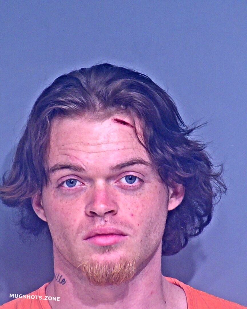 Ganey Camron Michael Baldwin County Mugshots Zone