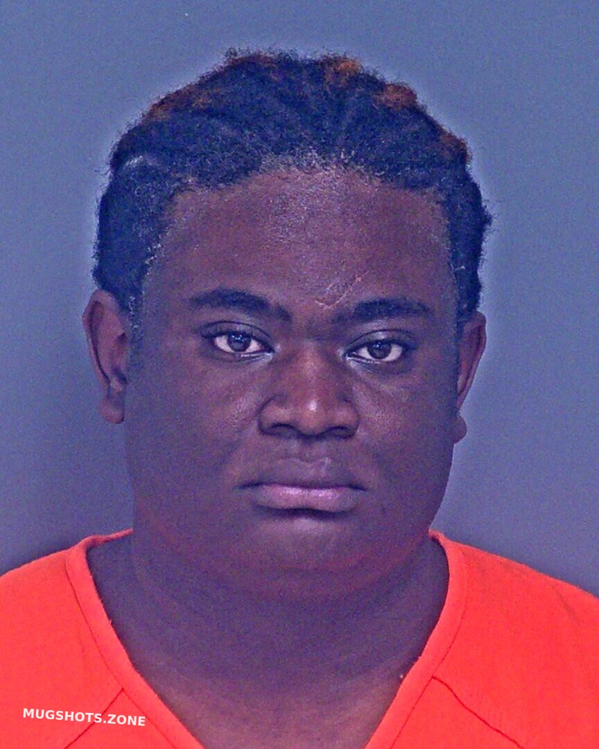 DUKES JAMARCUS VONTE 02 19 2024 Baldwin County Mugshots Zone