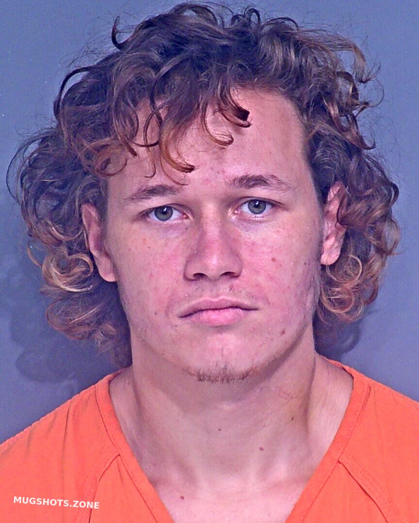 Ganey Dustin Lewis Baldwin County Mugshots Zone