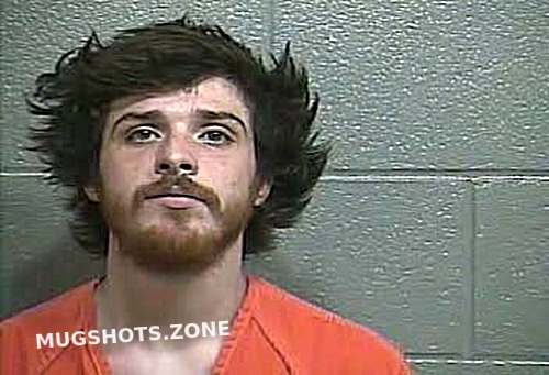 JOHNSON MICHAEL 06 14 2022 Barren County Mugshots Zone