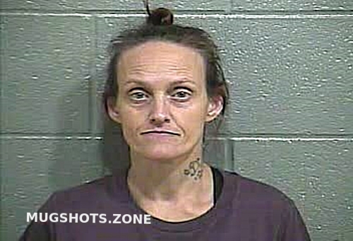 DAVIS CASSIE LYNETTE 12 01 2022 Barren County Mugshots Zone