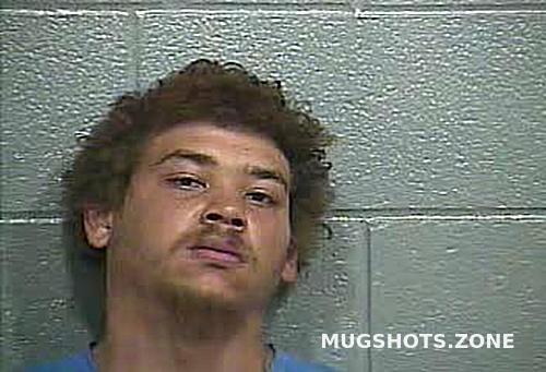 MEADOWS TREVOR DILLON 04 18 2023 Barren County Mugshots Zone