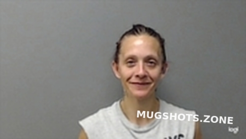 BRANDY NICOLE HYDE 09 22 2022 Baxter County Mugshots Zone