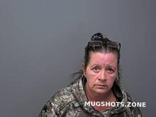 PAMELA LYNN LEVINE 01 10 2024 Baxter County Mugshots Zone