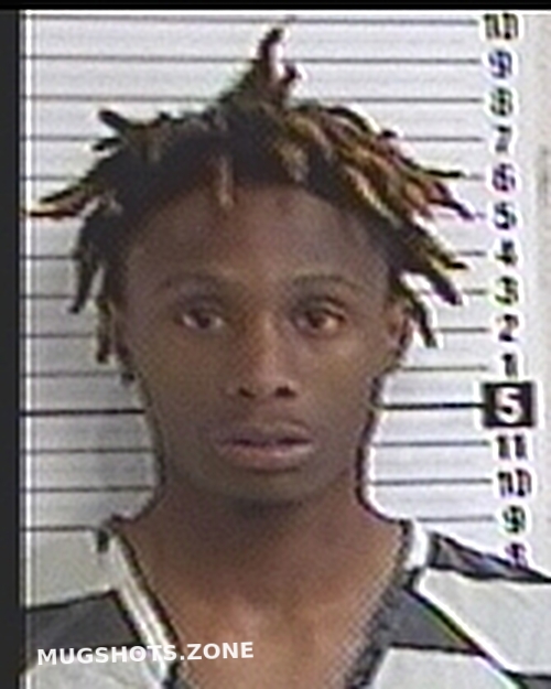 BELL AUBURN ALEXANDER DEMARCUS 02 19 2023 Bay County Mugshots Zone