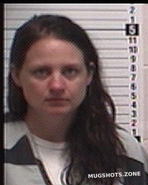 CLARK KIMBERLY DIANE 02 27 2023 Bay County Mugshots Zone