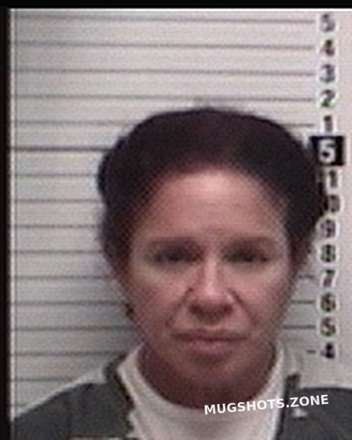 GONZALEZ LIZZIE 02 28 2023 Bay County Mugshots Zone