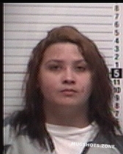 Andrade Alison Grey Bay County Mugshots Zone