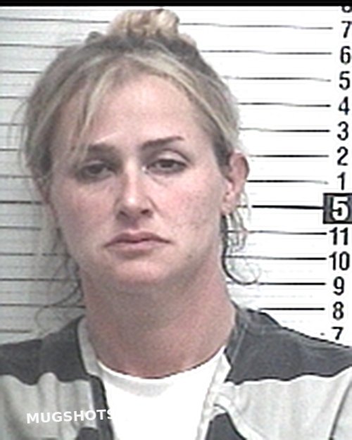 Allen Amanda Renee Glover Bay County Mugshots Zone