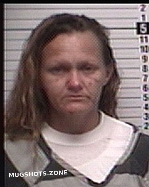 POSEY AMANDA MAE 05 20 2023 Bay County Mugshots Zone