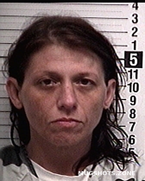 BONDOWSKY CHERYL LYNN 05 23 2023 Bay County Mugshots Zone