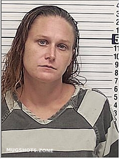 WITT JESSICA LYNNE 07 21 2023 Bay County Mugshots Zone