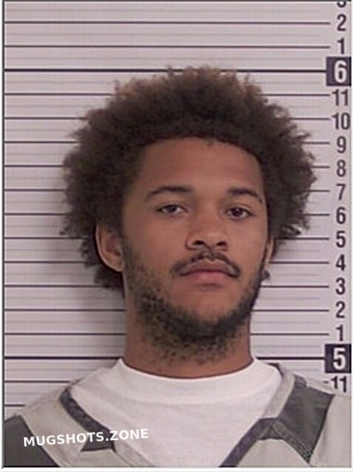 Cambre Donte Milan Bay County Mugshots Zone