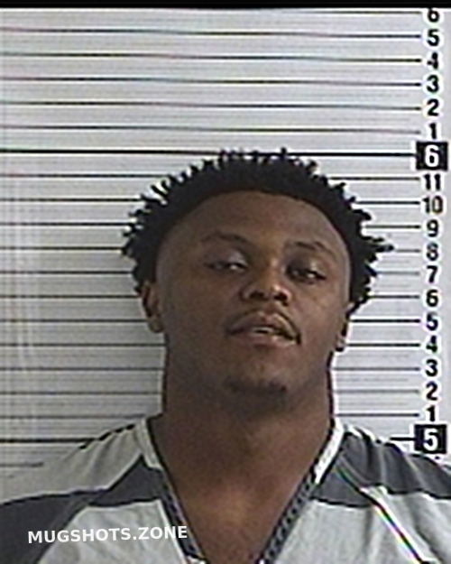 LYLES ZACCHAEUS UMAR 08 18 2023 Bay County Mugshots Zone