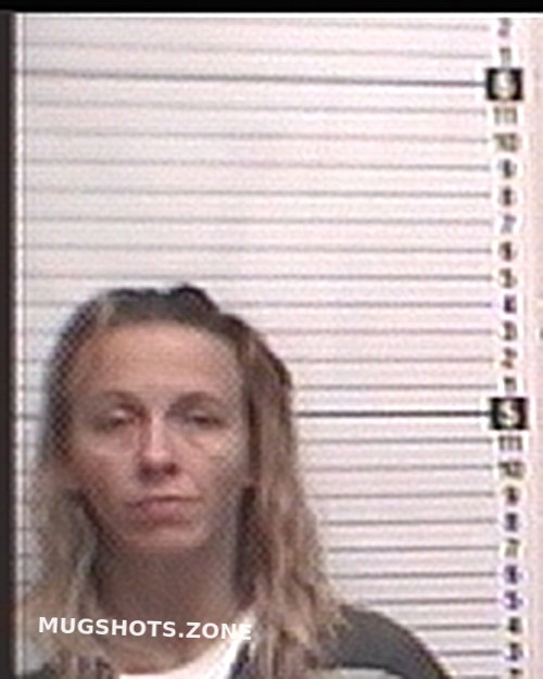 TILLIS CASEY LYNN 10 08 2023 Bay County Mugshots Zone