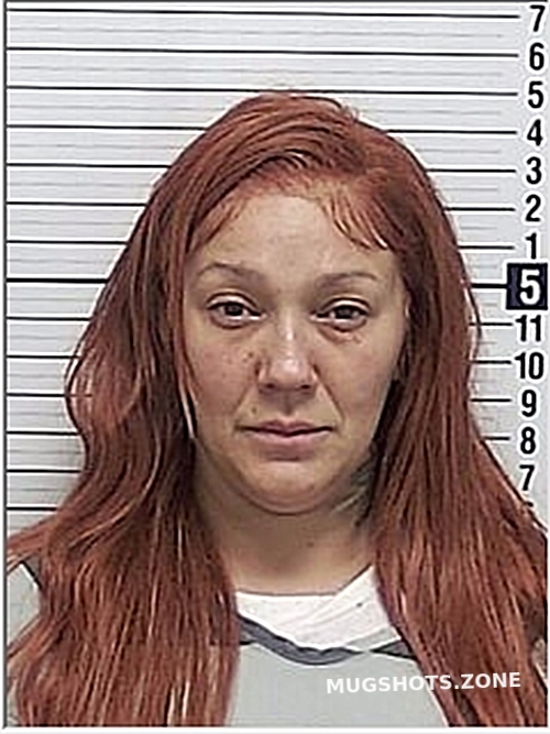 POLLOCK JESSICA 10 29 2023 Bay County Mugshots Zone