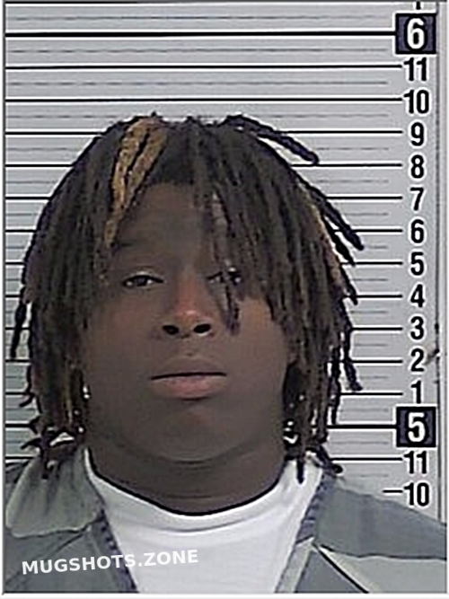 Telfair Dontevious Malik Bay County Mugshots Zone