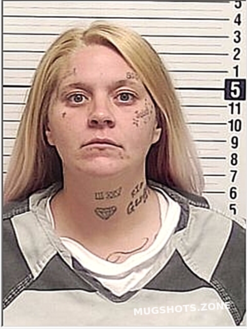 COLEY REIMANN SHANNON LEIGH 12 13 2023 Bay County Mugshots Zone