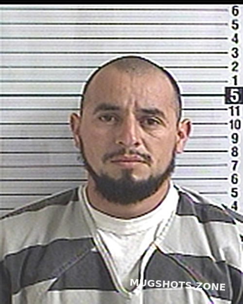 Rodriguez Garcia Denis Daniel Bay County Mugshots Zone