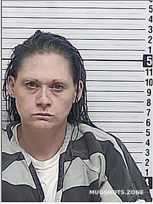 Bostic Alicia Lynne Bay County Mugshots Zone