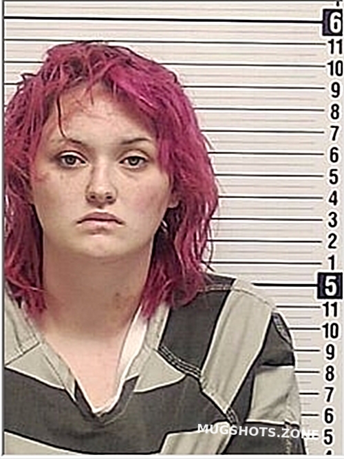 SHIVELY KASSANDRA ROSE 01 26 2024 Bay County Mugshots Zone