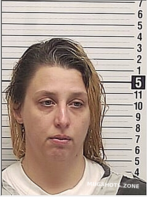 PARKER KRISTIN NICOLE 02 10 2024 Bay County Mugshots Zone