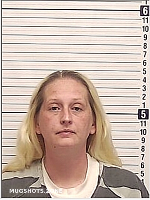 BAUER CASSANDRA KAY 02 20 2024 Bay County Mugshots Zone