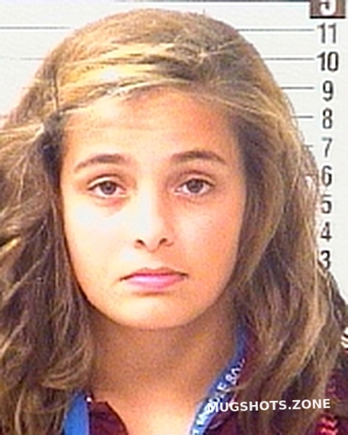 Vinczan Gabriela Ioana Bay County Mugshots Zone