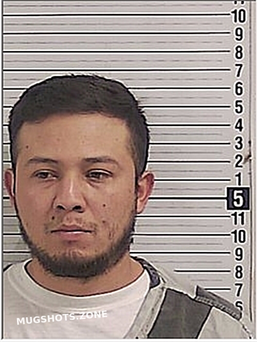 Ortega Brayan Said Bay County Mugshots Zone