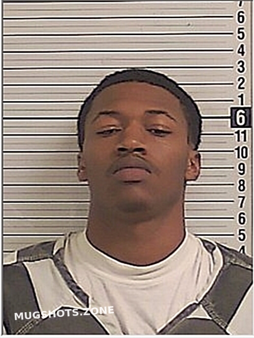 Danner Rasheed Isaiah Bay County Mugshots Zone