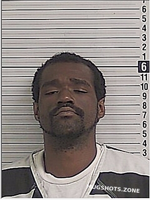 WILLIAMS MICHAEL LEE 04 29 2024 Bay County Mugshots Zone