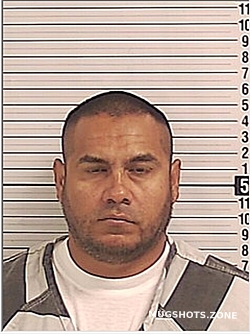 GONZALEZ NENCER 06 14 2024 Bay County Mugshots Zone