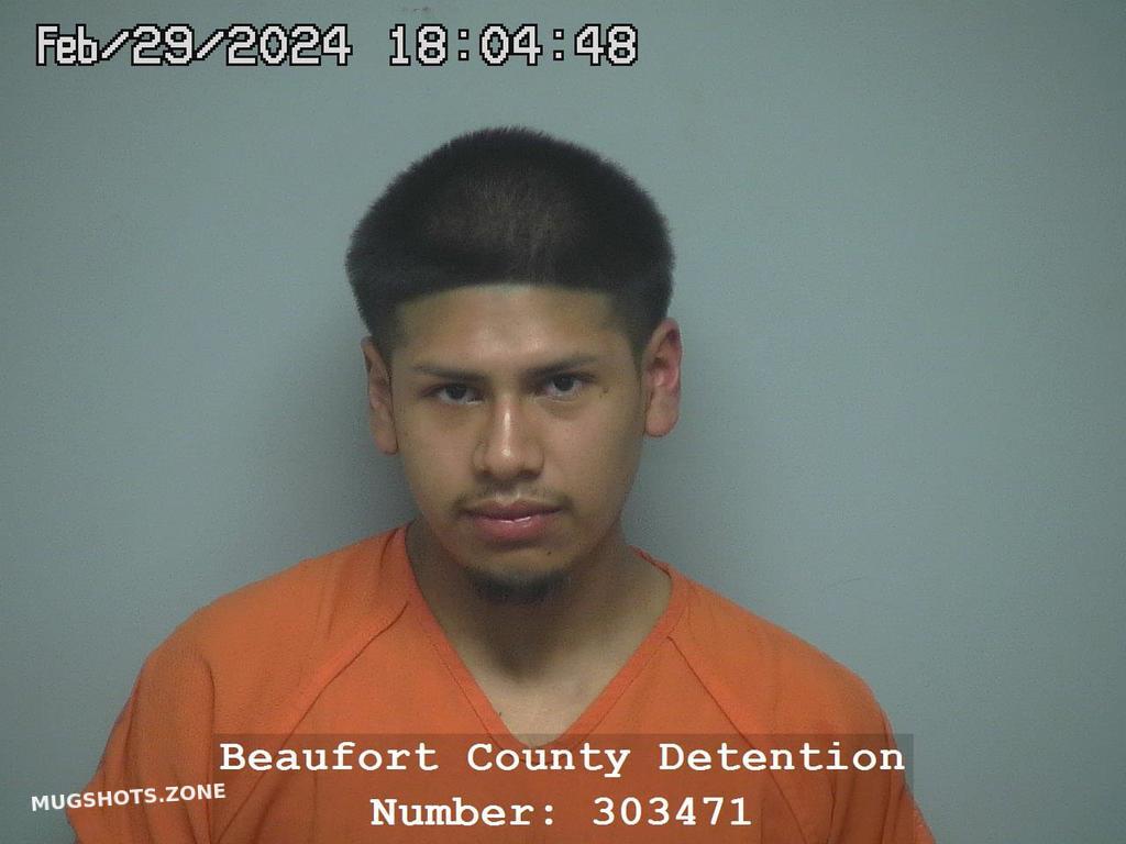 Basilio Santiago Castro Beaufort County Mugshots Zone