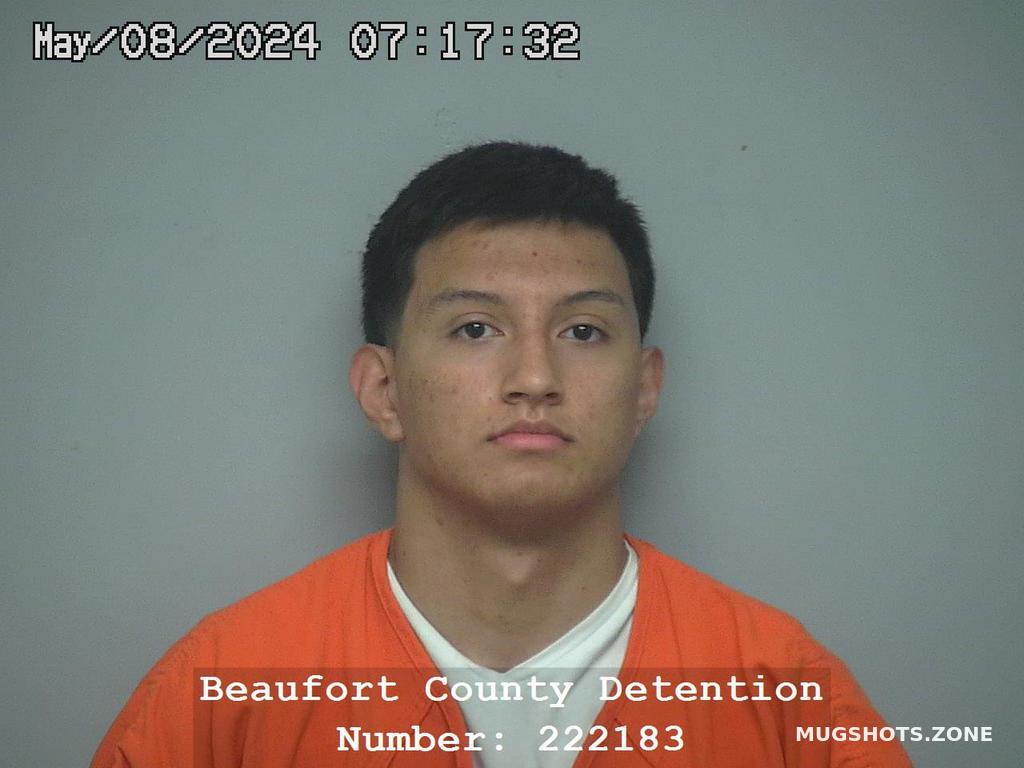 Juan Antonio Hernandez Beaufort County Mugshots Zone