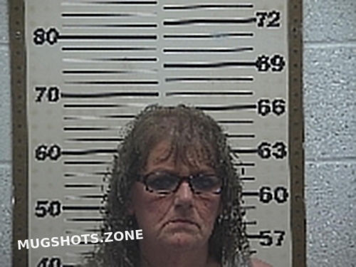 Thompson Heidi Lynn Belmont County Mugshots Zone