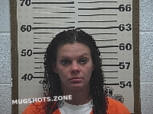 Riley Alyssa Marie Belmont County Mugshots Zone