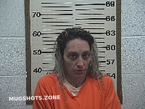 BONFINI MIRANDA ARLETTE 01 02 2023 Belmont County Mugshots Zone