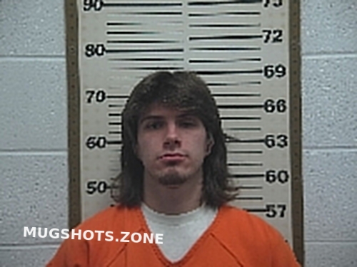 SWAIN IAN 01 11 2023 Belmont County Mugshots Zone