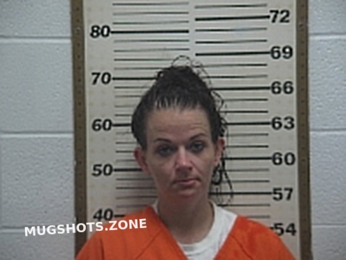 Hannahs Danielle Sheree Belmont County Mugshots Zone